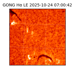 gong - 2025-10-24T07:00:42