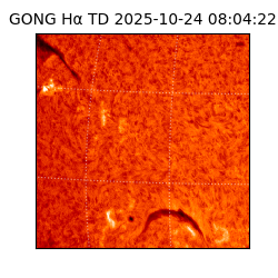 gong - 2025-10-24T08:04:22