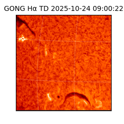 gong - 2025-10-24T09:00:22