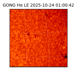 gong - 2025-10-24T01:00:42