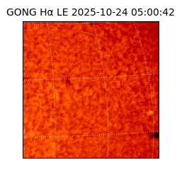 gong - 2025-10-24T05:00:42