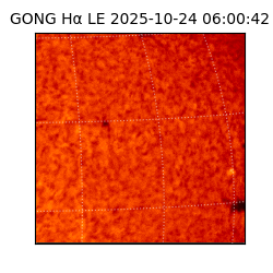 gong - 2025-10-24T06:00:42