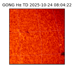gong - 2025-10-24T08:04:22