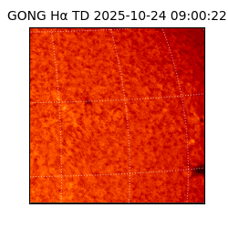 gong - 2025-10-24T09:00:22