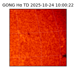 gong - 2025-10-24T10:00:22