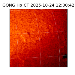 gong - 2025-10-24T12:00:42