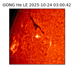 gong - 2025-10-24T03:00:42