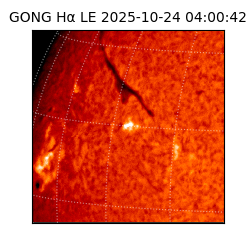 gong - 2025-10-24T04:00:42