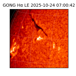 gong - 2025-10-24T07:00:42