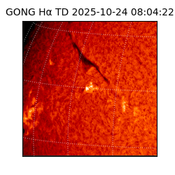gong - 2025-10-24T08:04:22