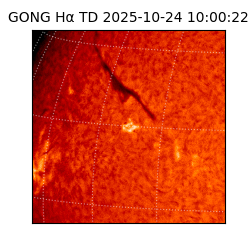 gong - 2025-10-24T10:00:22