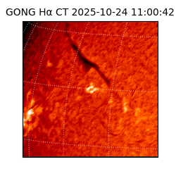 gong - 2025-10-24T11:00:42