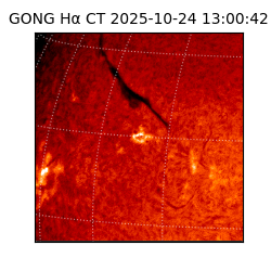 gong - 2025-10-24T13:00:42