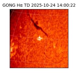 gong - 2025-10-24T14:00:22