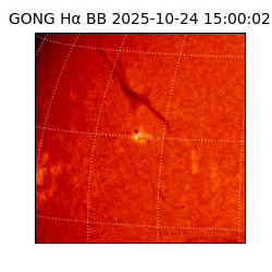 gong - 2025-10-24T15:00:02