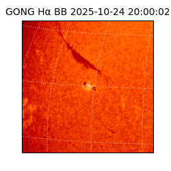 gong - 2025-10-24T20:00:02