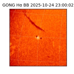 gong - 2025-10-24T23:00:02