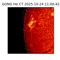 gong - 2025-10-24T11:00:42