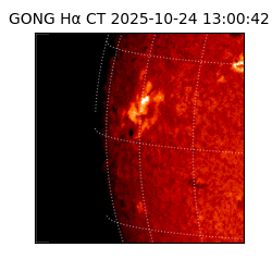 gong - 2025-10-24T13:00:42