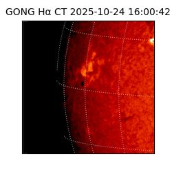 gong - 2025-10-24T16:00:42