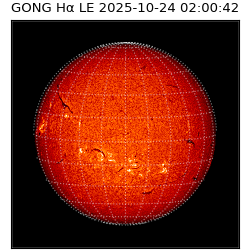 gong - 2025-10-24T02:00:42