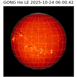 gong - 2025-10-24T06:00:42
