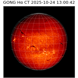 gong - 2025-10-24T13:00:42