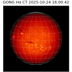 gong - 2025-10-24T16:00:42