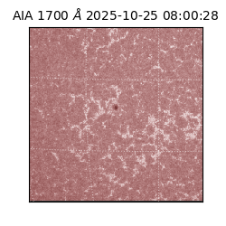 saia - 2025-10-25T08:00:28.717000