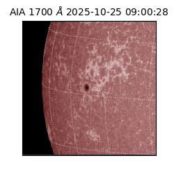 saia - 2025-10-25T09:00:28.710000