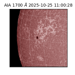 saia - 2025-10-25T11:00:28.721000