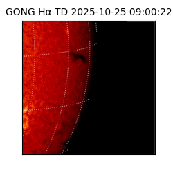 gong - 2025-10-25T09:00:22