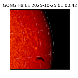 gong - 2025-10-25T01:00:42