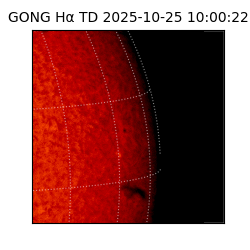 gong - 2025-10-25T10:00:22