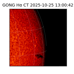 gong - 2025-10-25T13:00:42