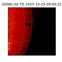 gong - 2025-10-25T09:00:22