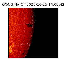 gong - 2025-10-25T14:00:42