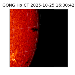 gong - 2025-10-25T16:00:42