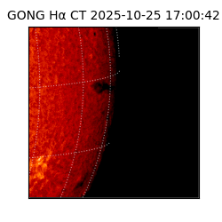 gong - 2025-10-25T17:00:42