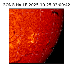gong - 2025-10-25T03:00:42