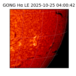 gong - 2025-10-25T04:00:42