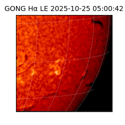 gong - 2025-10-25T05:00:42