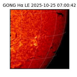 gong - 2025-10-25T07:00:42