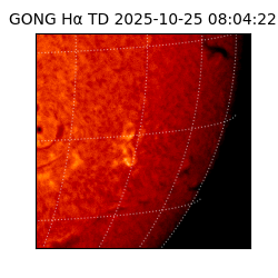 gong - 2025-10-25T08:04:22