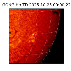 gong - 2025-10-25T09:00:22