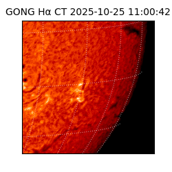 gong - 2025-10-25T11:00:42