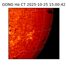 gong - 2025-10-25T15:00:42
