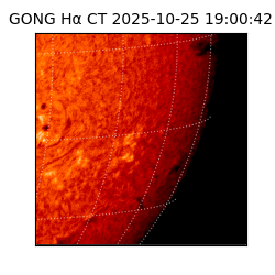 gong - 2025-10-25T19:00:42