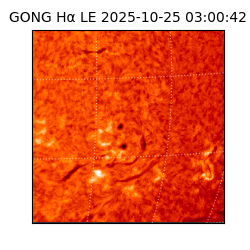 gong - 2025-10-25T03:00:42