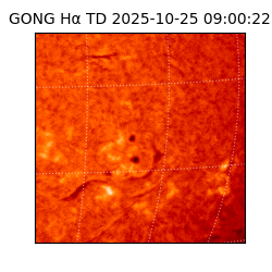 gong - 2025-10-25T09:00:22